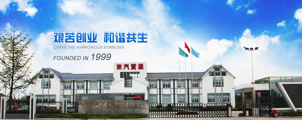 德陽市東汽實業(yè)開發(fā)有限責(zé)任公司